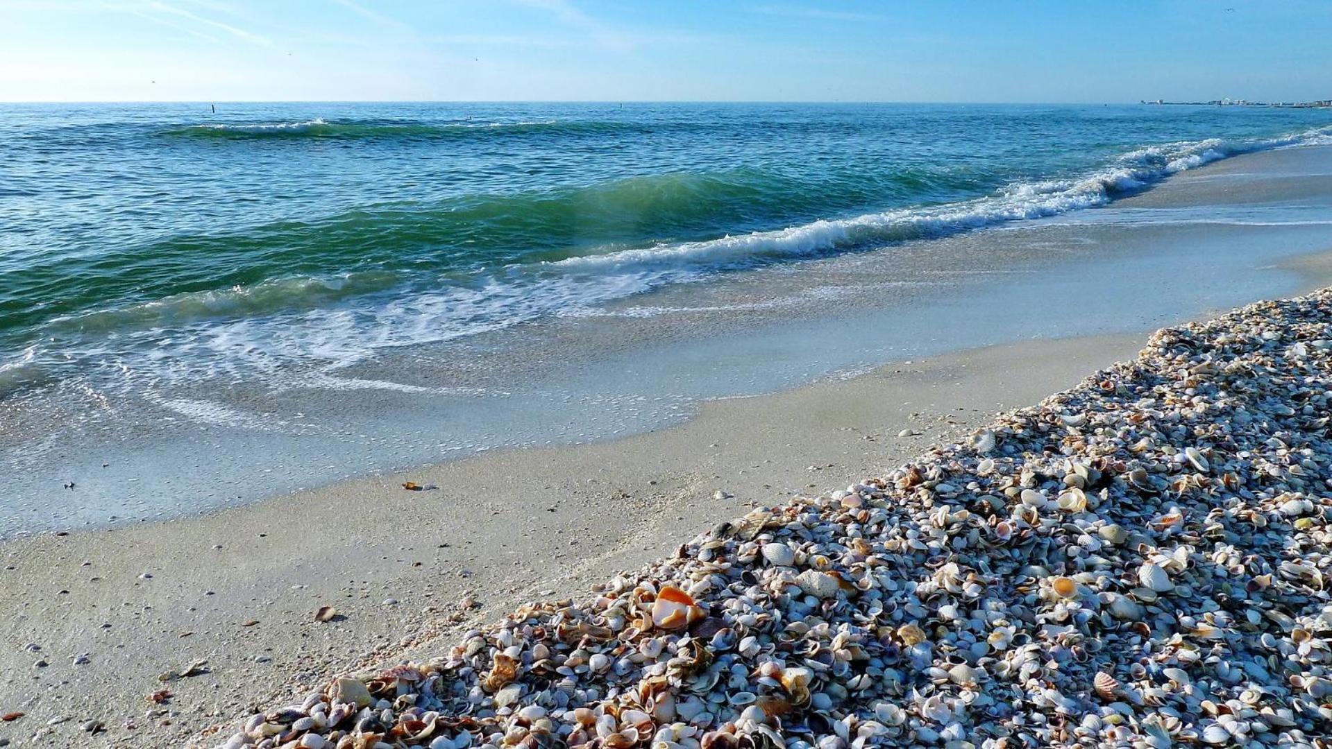 Sand Castle1 804 Clearwater Beach Buitenkant foto